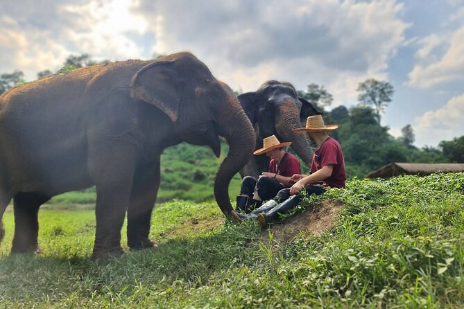 Half-Day Elephant Experience at Rantong - The elephant bath, the wettest part of the day