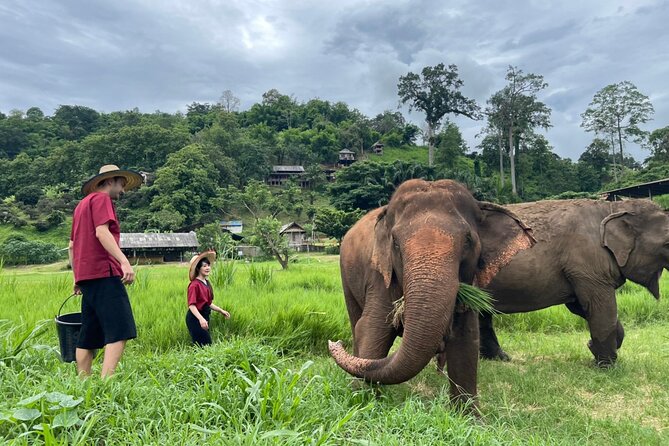 Half-Day Elephant Experience at Rantong - Making vitamins for older and injured elephants