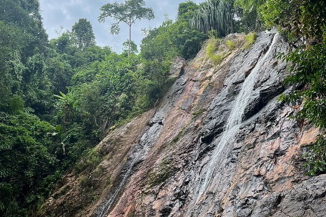 Half Day Highlights Koh Samui Tour - Wat Khunaram and the mummified monk