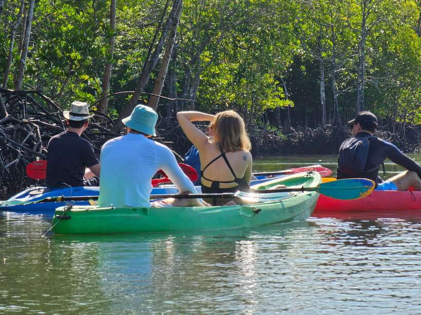 Half Day Mangrove Forest (Morning or Afternoon) - What the $27 Price Really Includes