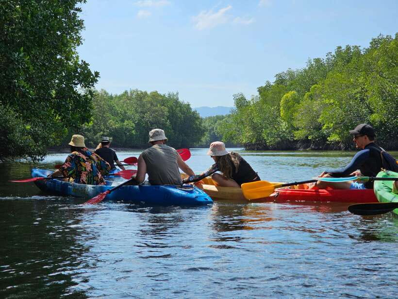 Half Day Mangrove Forest (Morning or Afternoon) - What to Bring for a More Comfortable Ride