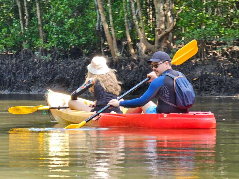 Half Day Mangrove Forest (Morning or Afternoon) - Who Will Enjoy This Half-Day Outing?