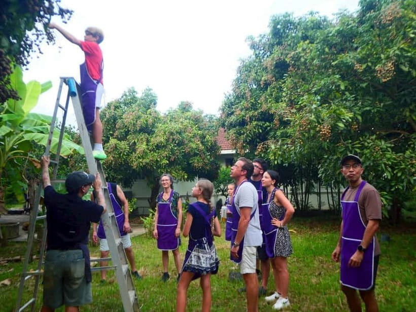 Half-Day Thai Cooking Class on a Local Farm Near Chiang Mai - Cooking Pad Thai, curry, soup, and more