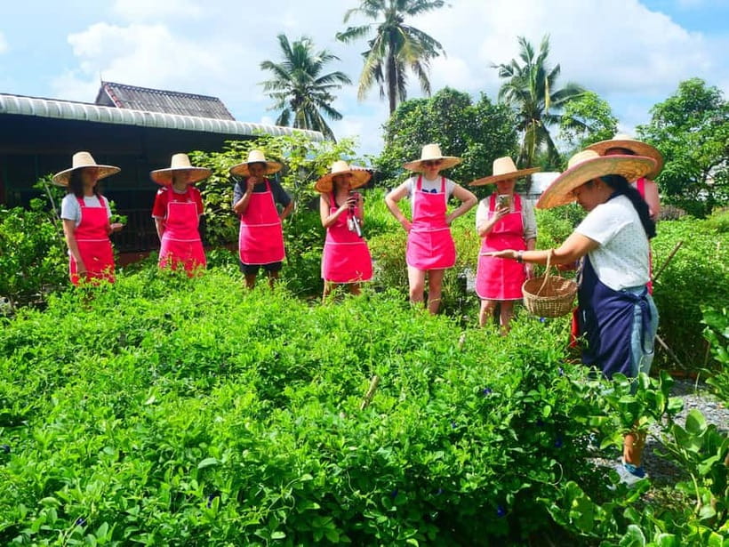 Half-Day Thai Cooking Class on a Local Farm Near Chiang Mai - Morning or evening course?
