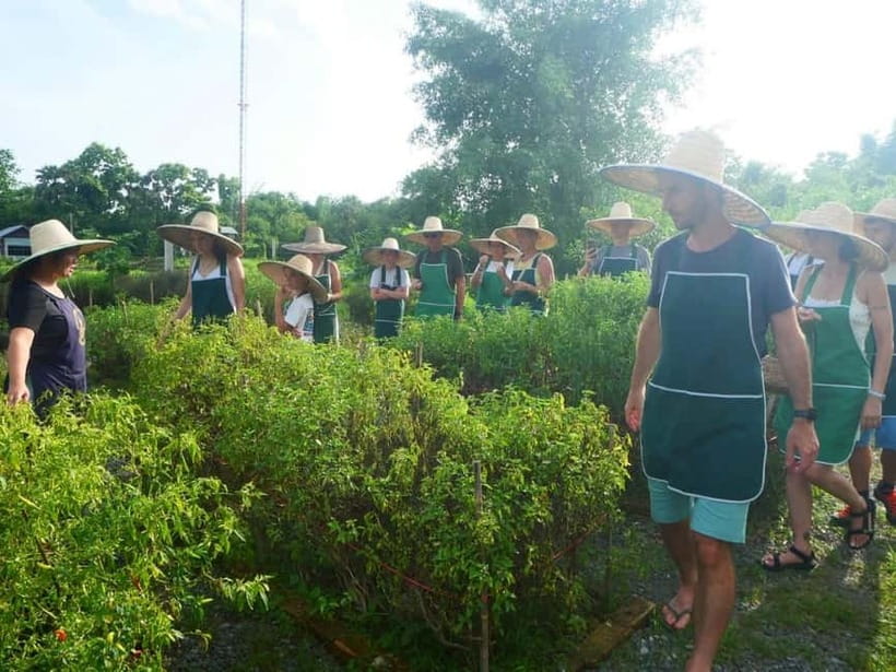 Half-Day Thai Cooking Class on a Local Farm Near Chiang Mai - Who will enjoy this farm cooking class?
