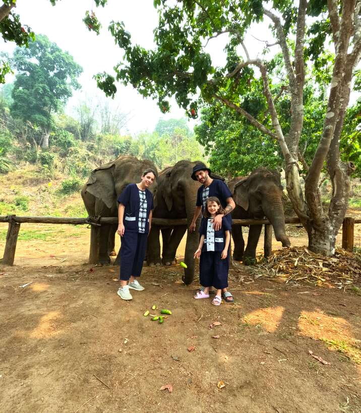 Half-day with CHIANGMAI ELEPHANT CARE program (12pm-6pm.) - Noon pickup and the road to Mae Taeng