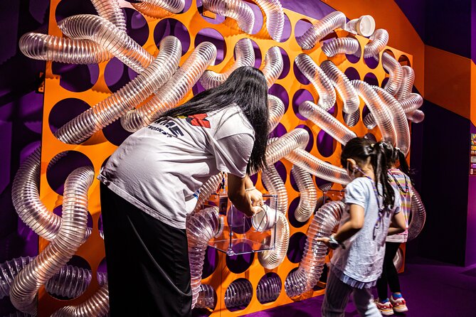 Interactive Amusement and Science theme park for all Ages - Why WOW Park Feels Different From a Standard Museum