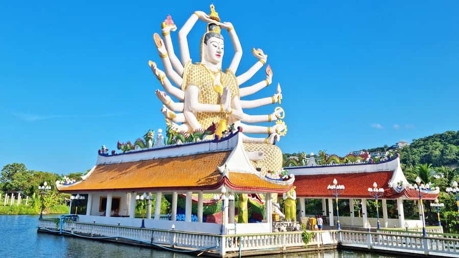 ISLAND TOUR ECO AROUND KOH SAMUI HALF DAY RARE SIGHTSEEING - Na Muang Waterfall 1 and the elephant concern