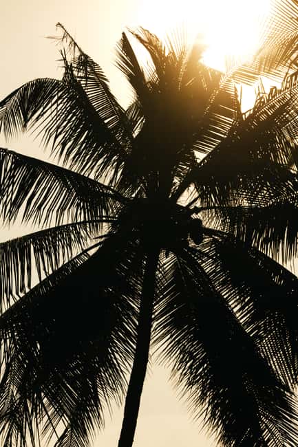 Khao Lak: 1.5-Hour Small Group Surfing Experience - Price, equipment, and what you need to bring