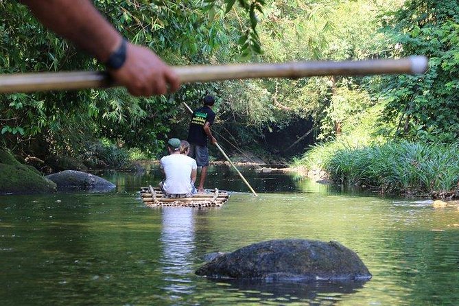 Khao Lak: Bamboo Rafting & Sea Turtle Conservation Center - What the sea turtle center actually offers