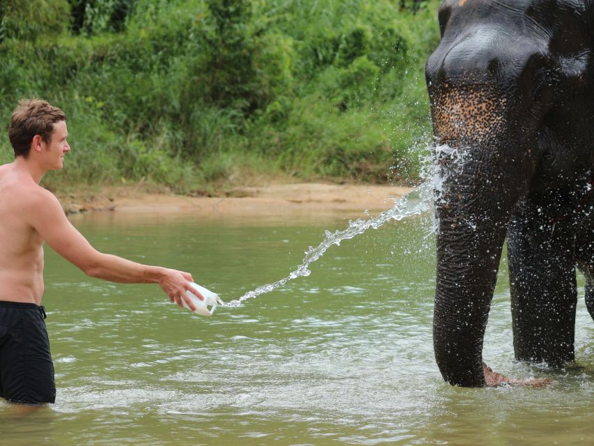 Khao Lak: Elephant Bathing and Turtle Center Visit - Who will enjoy this most