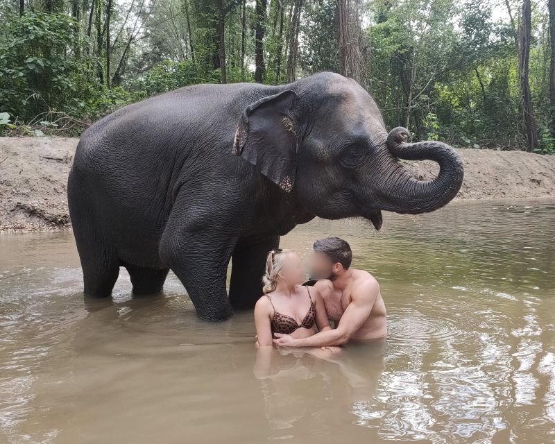 Khao Lak: Elephant Bathing and Turtle Center Visit - What ethical care means here