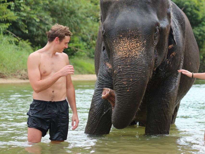 Khao Lak: Elephant Bathing and Turtle Center Visit - Walking to the stream with a mahout