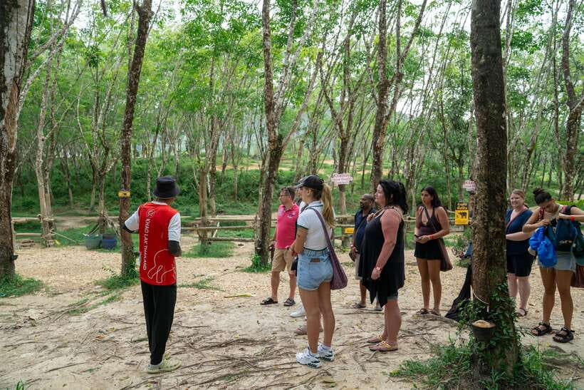 Khao Lak Guided Nature Walk & Elephant Experience - Choosing transport from Khao Lak or Phuket