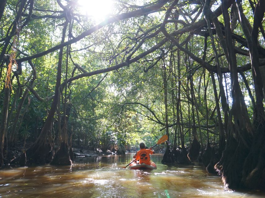 Khao Lak: Little Amazon Canoe Ride & Tam Nang Waterfall Tour - How Much Driving Should You Expect?
