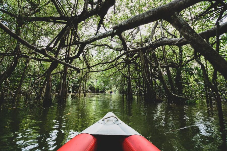 Khao Lak: Little Amazon Canoe Ride & Tam Nang Waterfall Tour - What to Bring for the Forest and Water