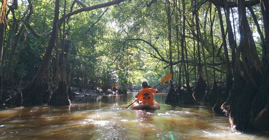 Khao Lak: Little Amazon Canoe Ride & Tam Nang Waterfall Tour - Riding Beneath the Banyan Trees in Little Amazon