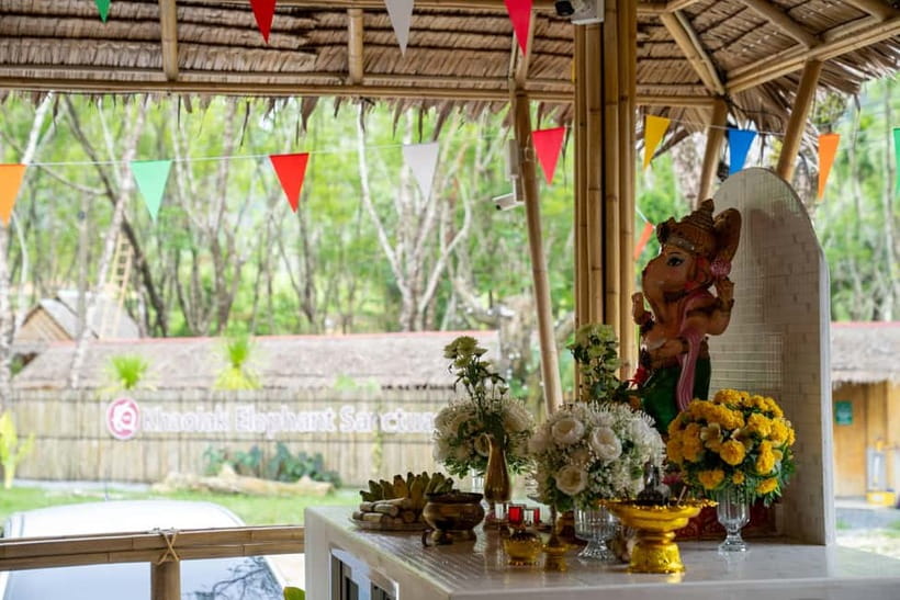 Khao Lak’s Best: Elephant Sanctuary,Rubber Tapping&Waterfall - Who will enjoy this Khao Lak outing?