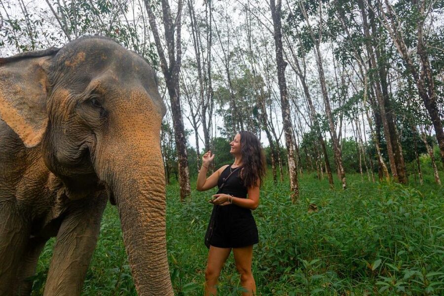 Khao Lak: Waterfall,Sea Turtle,Elephant Care,Meal & Transfer - Key points at a glance
