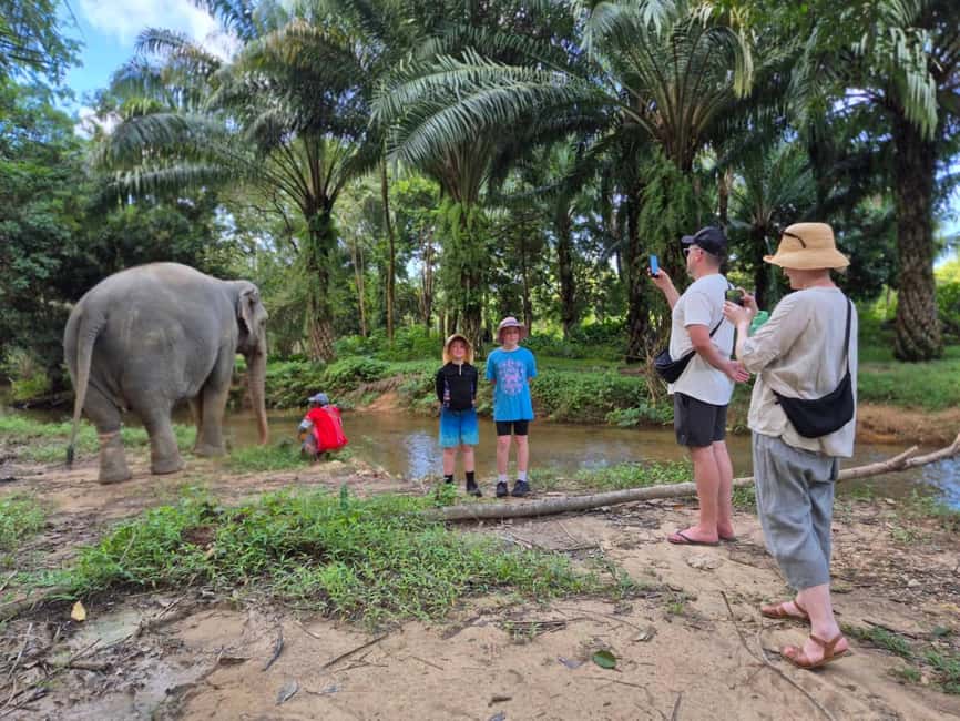 Khao Lak: Waterfall,Sea Turtle,Elephant Care,Meal & Transfer - Why this half-day works so well