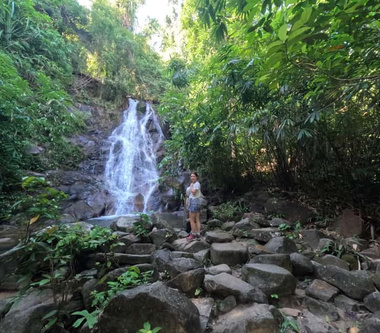 Khao Lak: Waterfall,Sea Turtle,Elephant Care,Meal & Transfer - Sea turtle conservation with a clear purpose