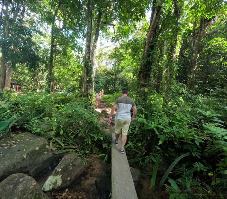 Khao Lak: Waterfall,Sea Turtle,Elephant Care,Meal & Transfer - Who should book this experience