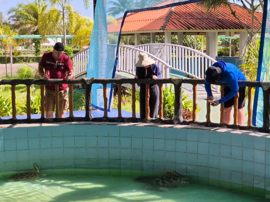 Khao Lak: Waterfall,Sea Turtle,Elephant Care,Meal & Transfer - Meeting the elephants at Khao Lak Ethical Elephant Sanctuary