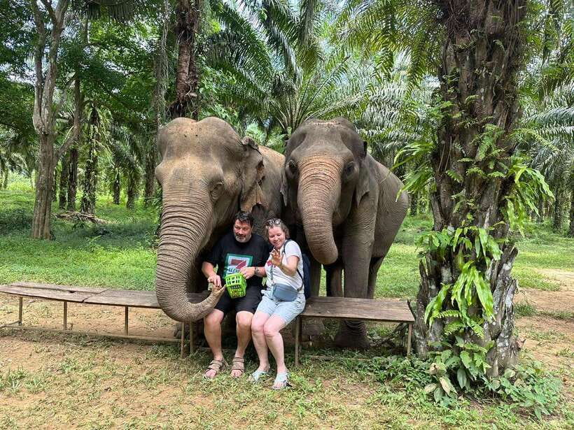 Khao Sok: Ethical Elephant Experience & Nature Walk - How This Experience Compares With a Typical Elephant Attraction