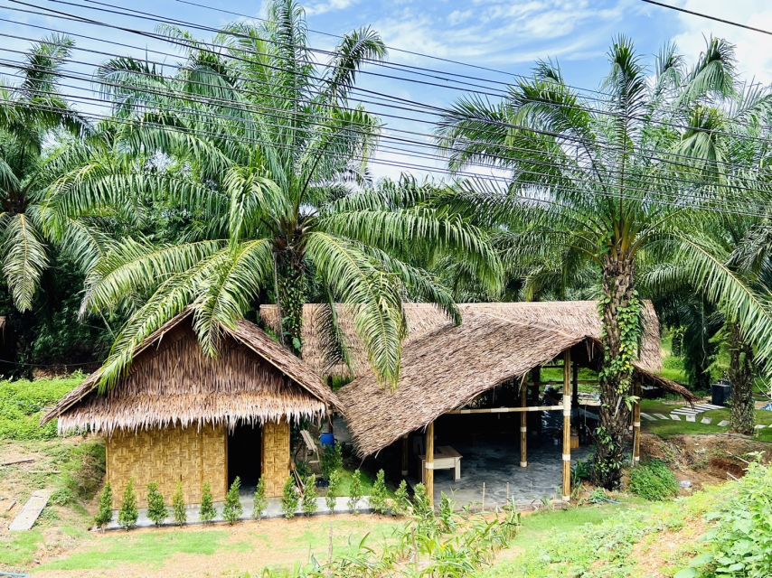 Khao Sok: Ethical Elephant Sanctuary Visit - Who should book this experience?