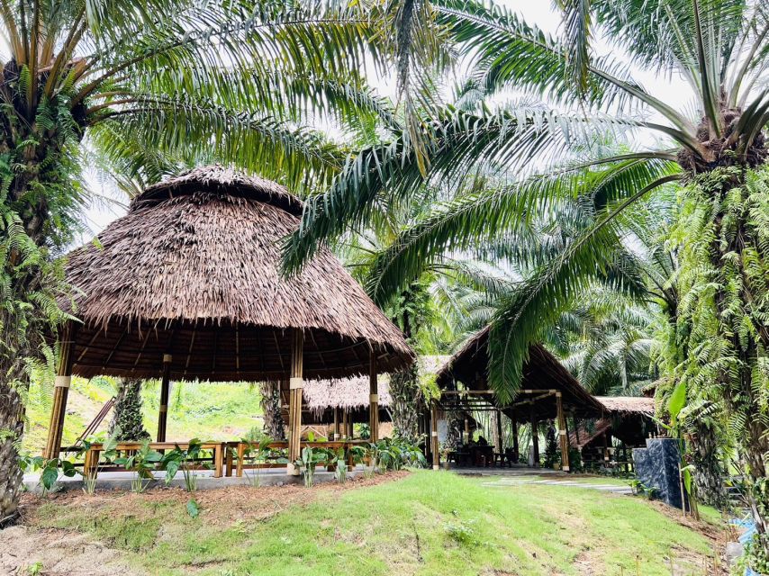 Khao Sok: Ethical Elephant Sanctuary Visit - Preparing elephant food from orchard and forest plants