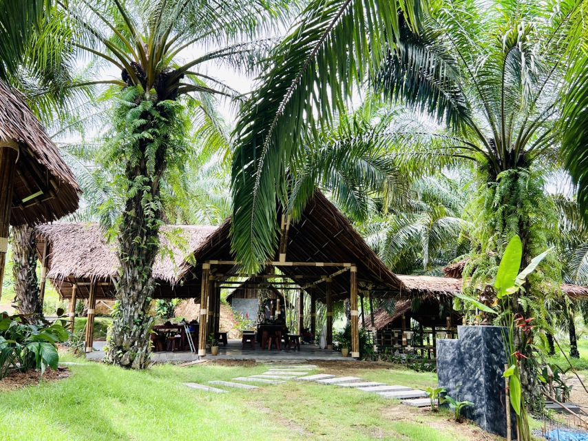 Khao Sok: Ethical Elephant Sanctuary Visit - What the guide explains about elephant behavior