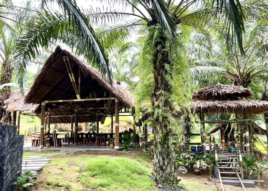Khao Sok: Ethical Elephant Sanctuary Visit - Getting there from Khao Sok