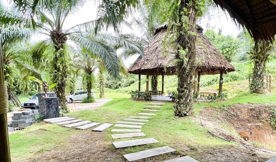 Khao Sok: Ethical Elephant Sanctuary Visit - Is $41 good value?