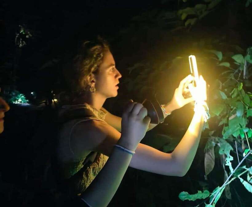 Khao Sok: Private Night Safari Adventure w/ Hotel Transfer - Key points to know before you book