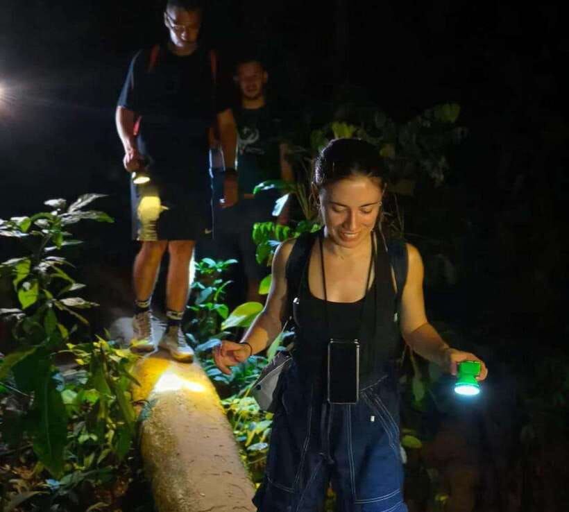 Khao Sok: Private Night Safari Adventure w/ Hotel Transfer - The first hour: searching under the canopy