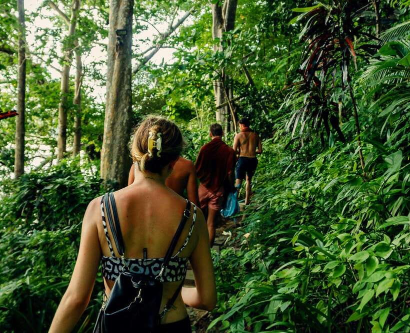 Khao Sok: Private Waterfalls and Wildlife Half-Day Trek - Key points before you book
