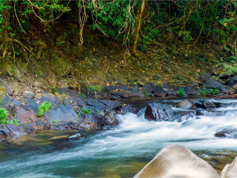Khao Sok: Private Waterfalls and Wildlife Half-Day Trek - The guides make the difference