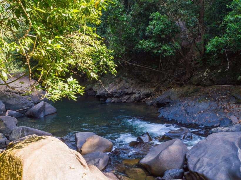 Khao Sok: Private Waterfalls and Wildlife Half-Day Trek - Searching for monkeys, gibbons, and tiny forest life