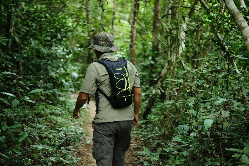 Khao Sok: Private Waterfalls and Wildlife Half-Day Trek - What the $48 price really includes