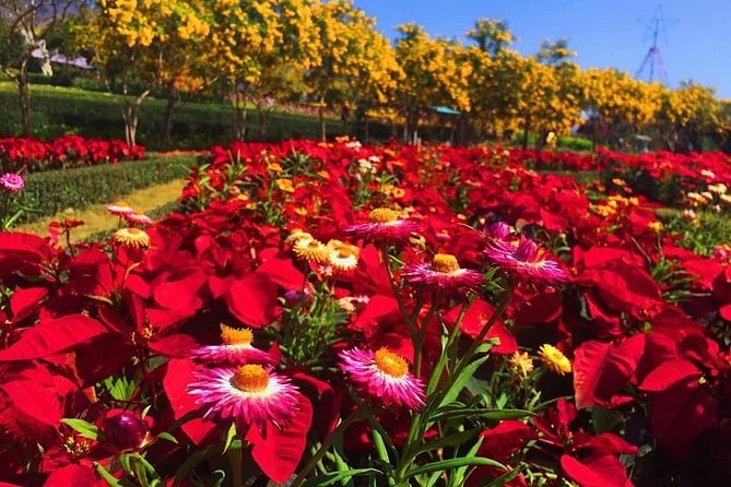 Khao Yai national Park day tour from Bangkok - Waterfalls worth putting on your list