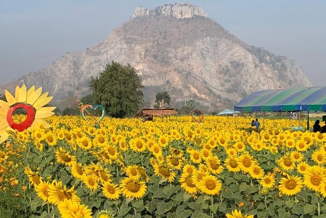 Khao Yai national Park day tour from Bangkok - What the car, driver, and service include