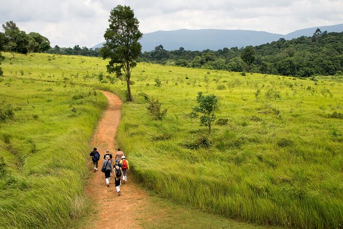 Khao Yai National Park Full Day - Entering one of Thailand’s oldest national parks