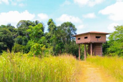 Khao Yai National Park Full Day