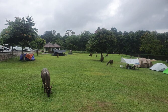 Khao Yai National Park Full Day - Haew Narok, the biggest waterfall stop