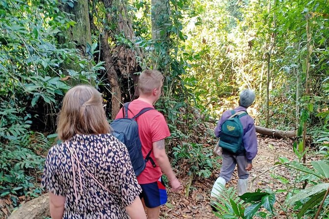 Khao Yai National Park Full Day - Wildlife: what you might actually see