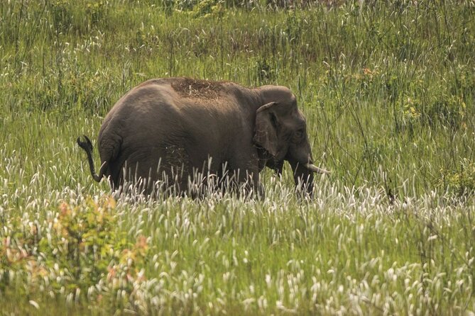 Khao Yai National Park Full-Day From Bangkok - Including Ticket - Leaving Bangkok for Khao Yai