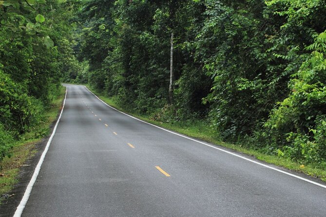 Khao Yai National Park Full-Day From Bangkok - Including Ticket - Haew Suwat Waterfall and the steep return