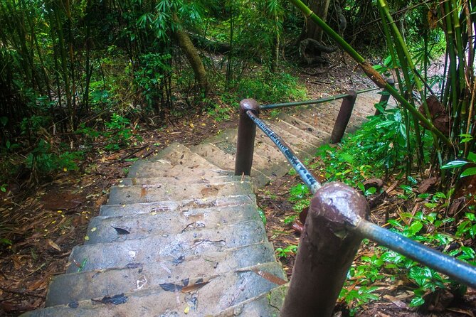 Khao Yai National Park Full-Day From Bangkok - Including Ticket - Lunch, water, and the day’s basic comforts