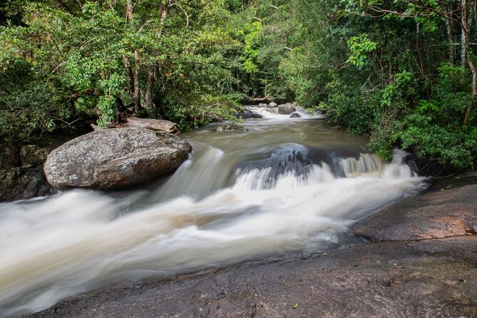 Khao Yai National Park Full-Day From Bangkok - Including Ticket - Who should book this tour?
