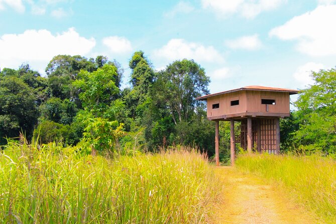Khao Yai National Park Full Day - Three hours on the Nong Phak Chi Nature Trail